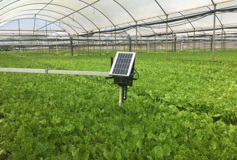 Plug & Sense - Smart Agriculture