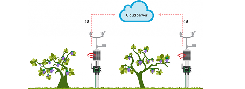 Plug & Sense - Smart Agriculture